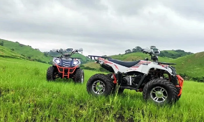 1-Hour Quad Bike Tour for 2, 4 or 6 at NPS Adventures