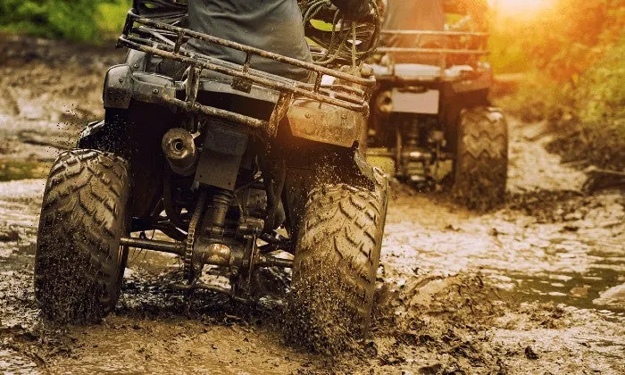 1-Hour Quad Bike Tour for 2, 4 or 6 at NPS Adventures