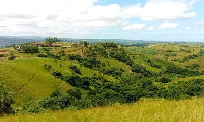 1-Hour Quad Bike Tour for 2, 4 or 6 at NPS Adventures