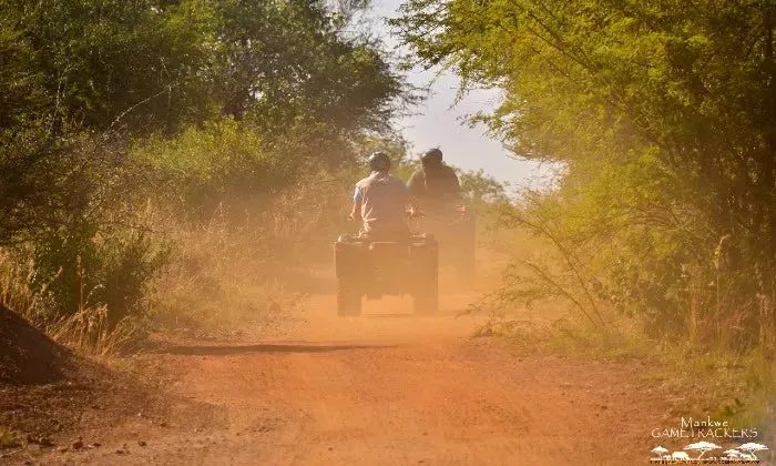 1-Hour safari quad bike experience